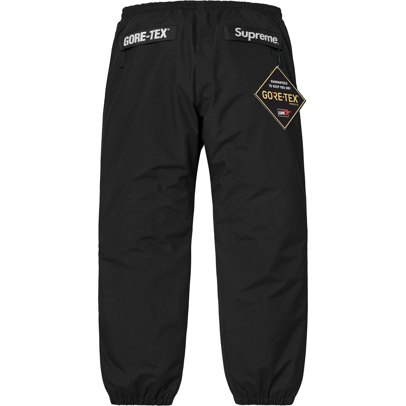 GORE-TEX Pant view 9